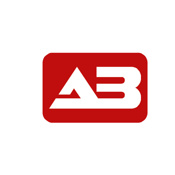 Partner 13